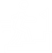 Type Icon