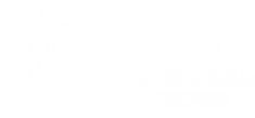 light logo
